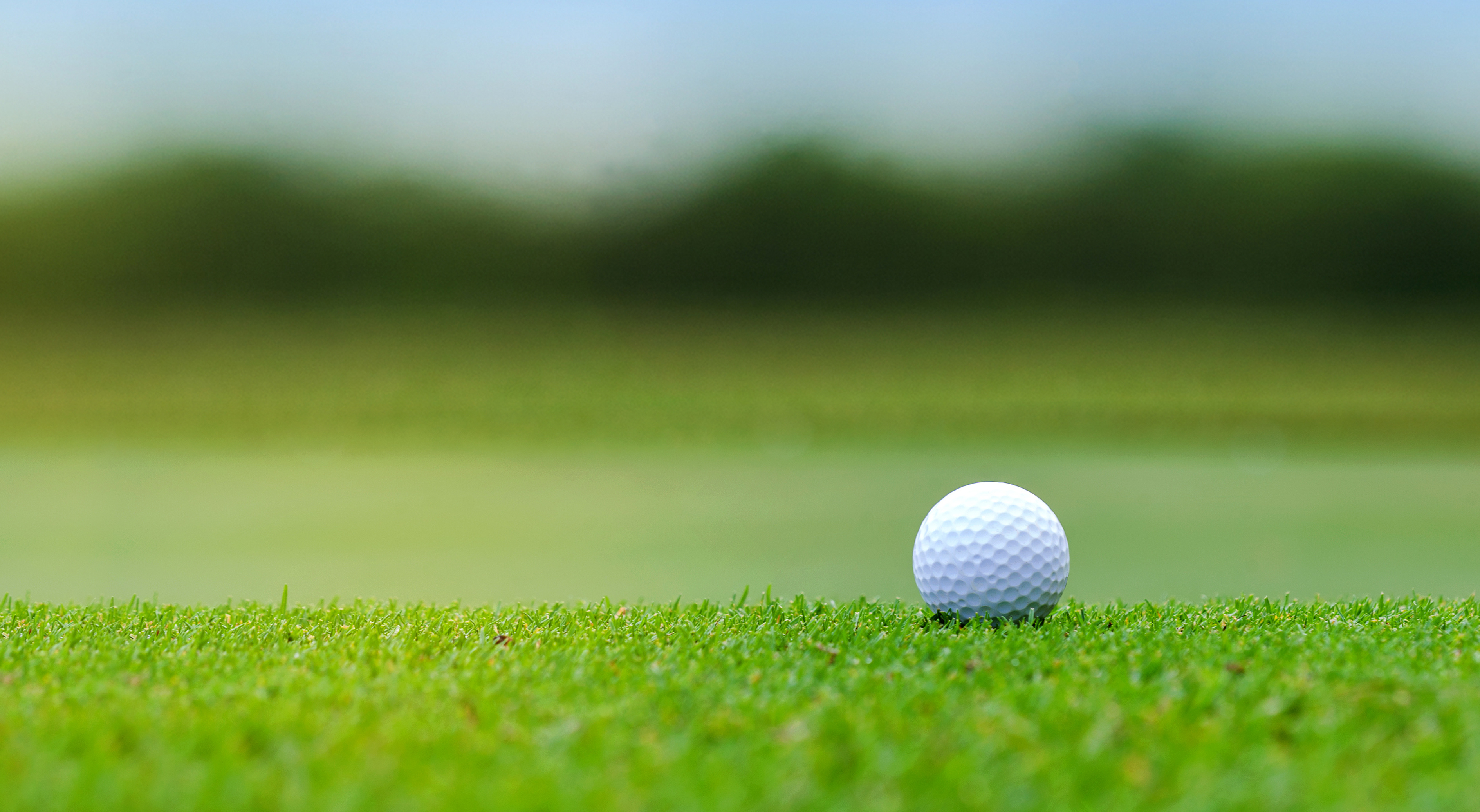 a golf ball setting in the golf course