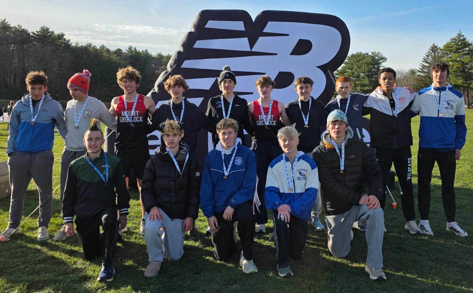 2025 Division 3 Boys Cross Country medalists