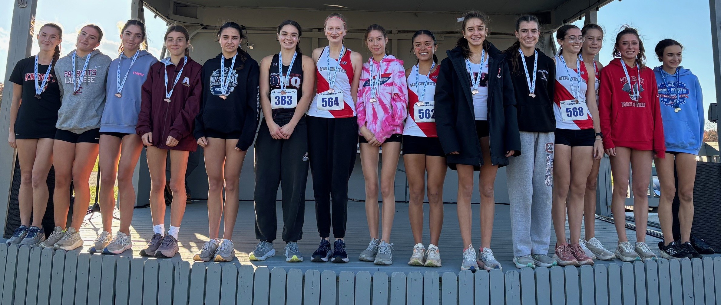 2025 Division 1B Girls Cross Country medalists