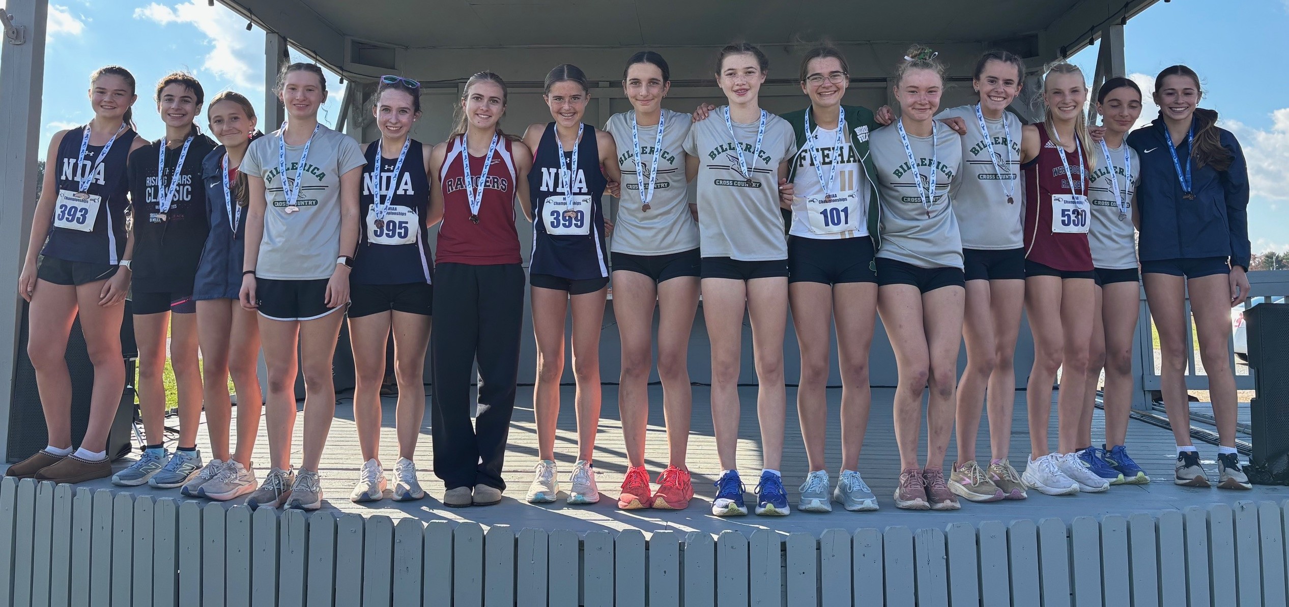 2025 Division 1C Girls Cross Country medalists