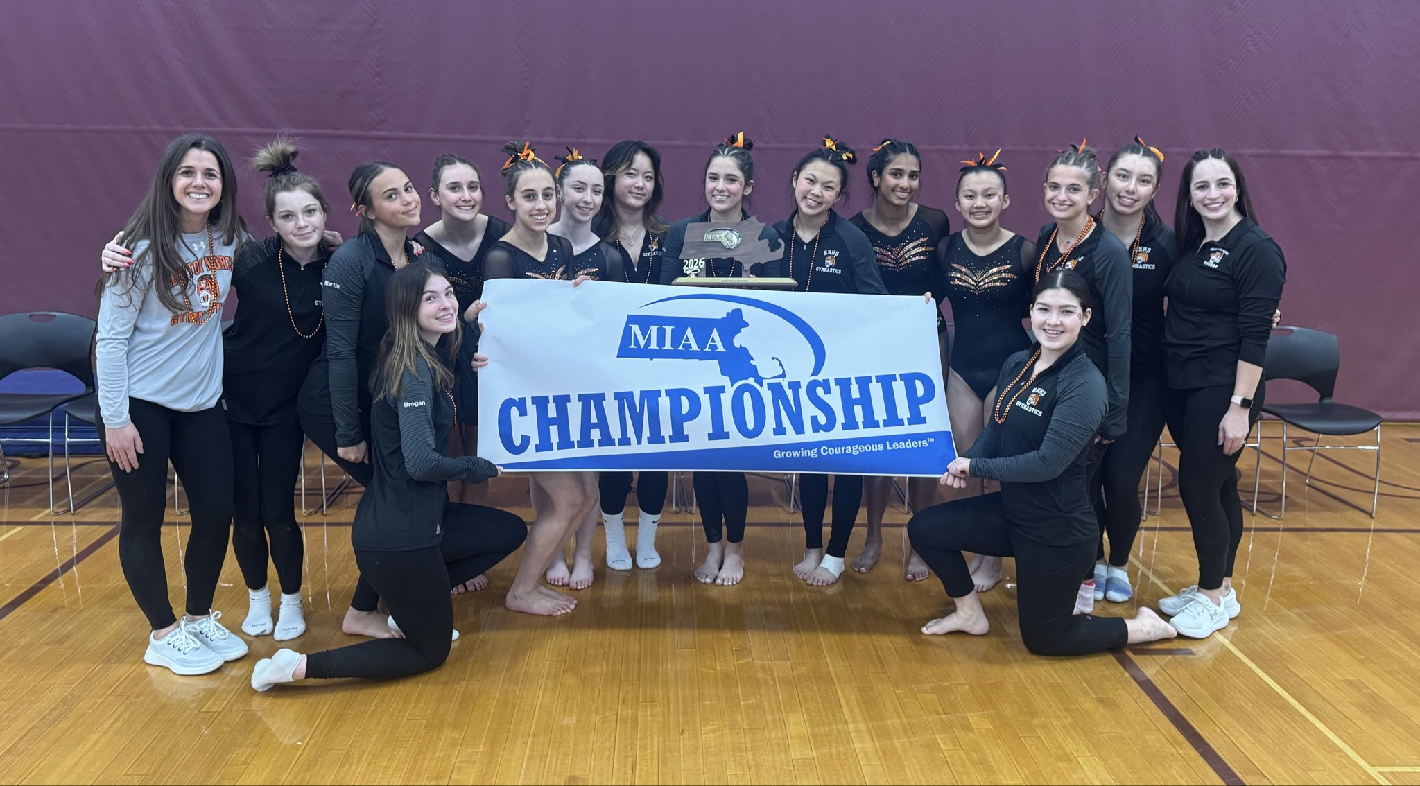 Newton North South Gymnastics champion 2026