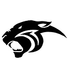 Palmer High School logo