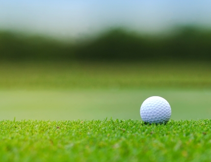 a golf ball setting in the golf course