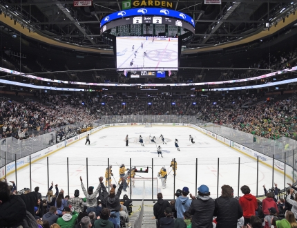 a full crowd of people in the stands of an ice hockey game
