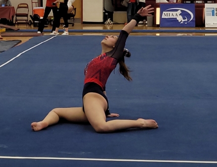 Gymnastics hero image
