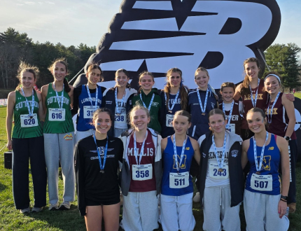 2025 Division 3 Girls Cross Country medalists
