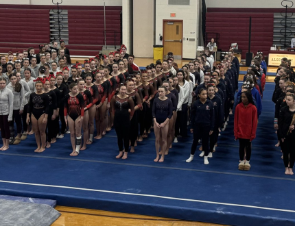2026 MIAA Gymnastics Sectional Championships hero image
